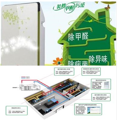 新裝修的辦公室味道大，怎么辦？